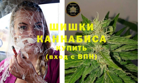 mdpv Елизово