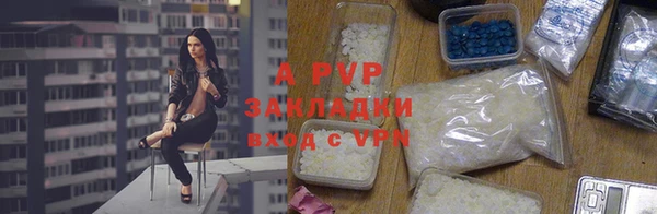 PSILOCYBIN Ельня