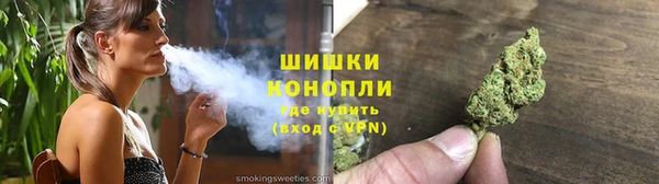 PSILOCYBIN Ельня