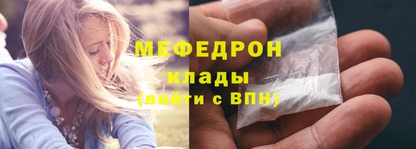 PSILOCYBIN Ельня
