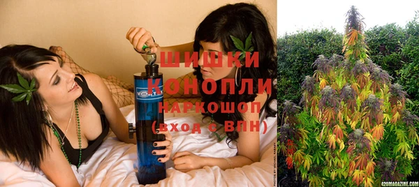 PSILOCYBIN Ельня
