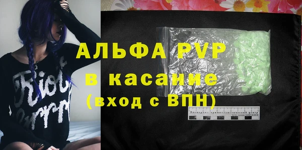 PSILOCYBIN Ельня