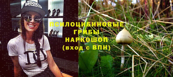 PSILOCYBIN Ельня