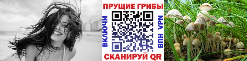 Галлюциногенные грибы мицелий  Купить  Нерчинск 